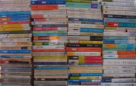 RIMG0496-300x225 のコピー